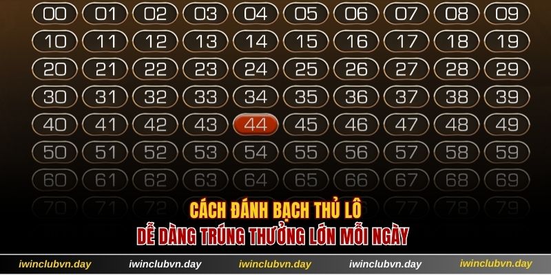 Bạch thủ lô