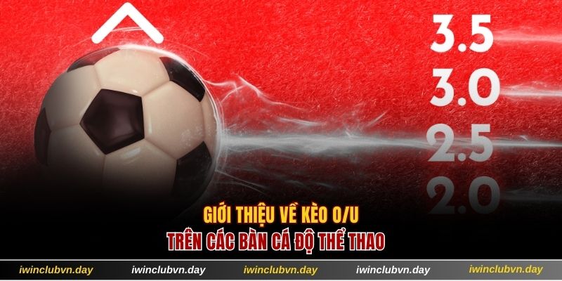 Giới thiệu về kèo o/u trên các bàn cá độ thể thao trực tuyến