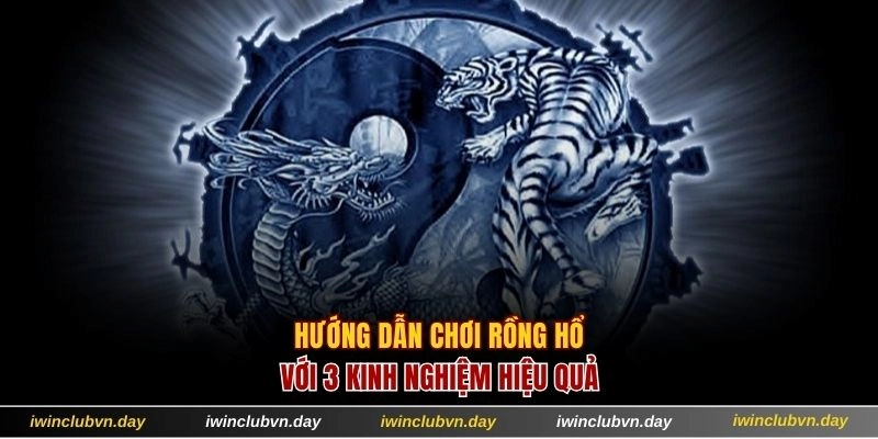 Hướng dẫn chơi rồng hổ với 3 kinh nghiệm từ cao thủ