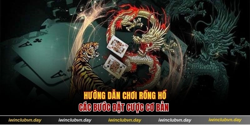 Hướng dẫn chơi Rồng hổ với các bước cơ bản