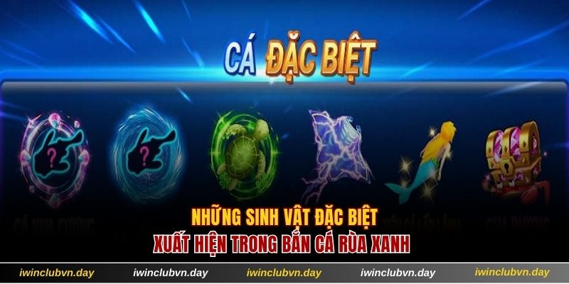 Những loài đặc biệt thường di chuyển trong đại dương