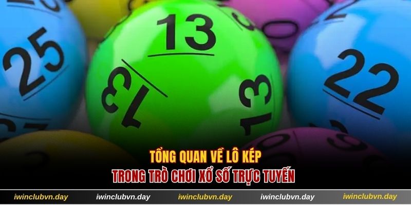 Tổng quan về các loại số đôi khi chơi XS online